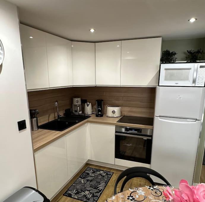Le Briand Appartement 4Etoiles Nancy Thermal Cosy Avec Terrasse Wifi Экстерьер фото